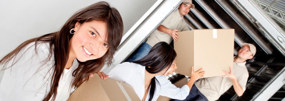 Professional Removalists The Bight